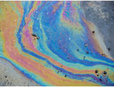 Petroleum hydrocarbon contamination